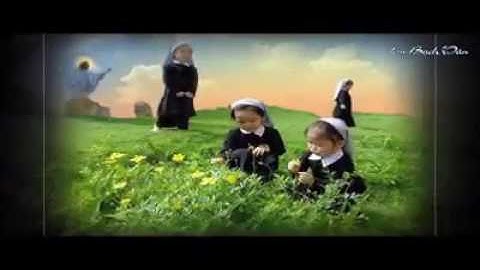 CHÚA CẤT TIẾNG GỌI CON - Lm. Bạch Vân