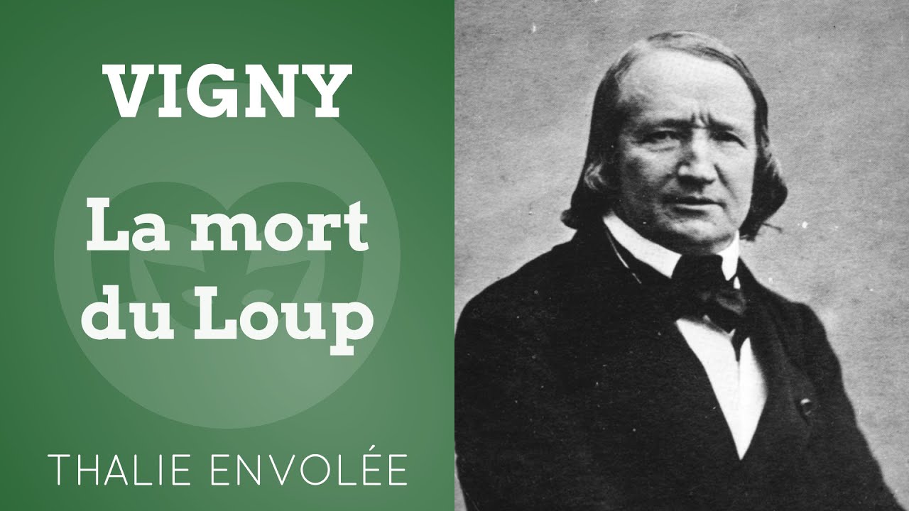 La Mort Du Loup Alfred De Vigny Résumé