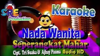 Seperangkat Mahar Karaoke Nada Cewek -  Zinidin Zidan || Ciptaan. Tri Suaka & Ajhay Pasma