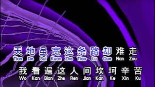 歐陽菲菲  《感恩的心》 gan en de xin