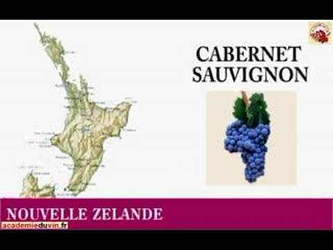 Vidéo: Cépages et styles de vin néo-zélandais