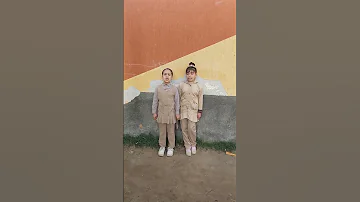 تحية العلم المصري في صورته الجديدة 