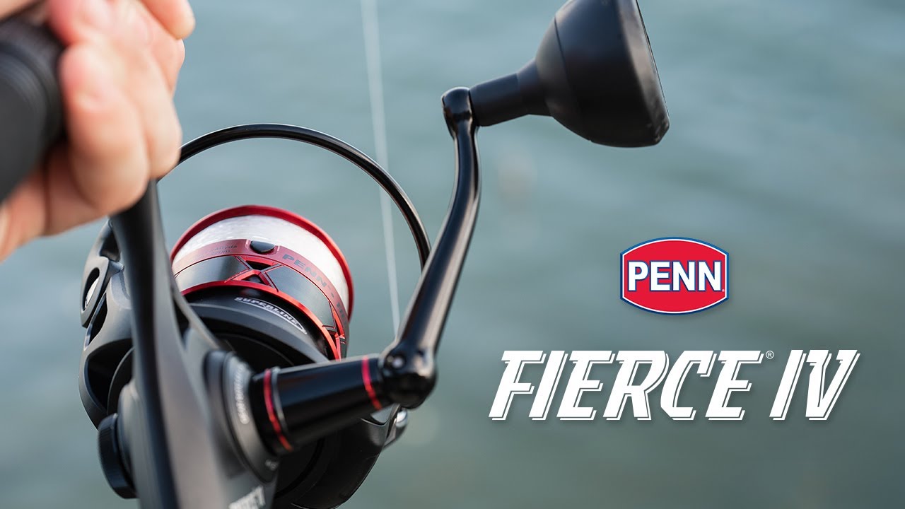 Penn Fierce IV Spinning Reel