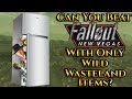 Can you beat fallout new vegas with only wild wasteland items