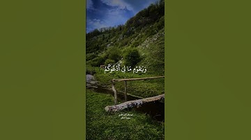 ابوبكر الشاطري - سورة غافر