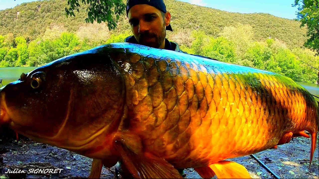 6 jours au paradis de la carpe. 