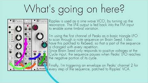 3 Modules #52: Peaks, Ripples, Brain Seed