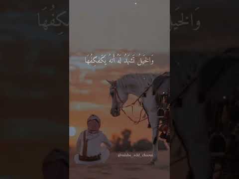 فتى ي خوض غمار الحرب م بتسما البلوشي عبارات تصميمي