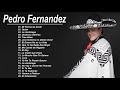 Pedro Fernandez Sus Grandes Exitos || Top 20 Mejores Canciones De Pedro Fernandez