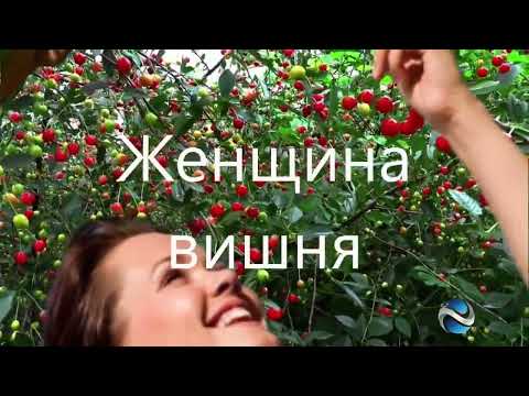 Стас Михайлов Женщина вишня