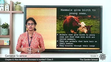 Grade 4 General Science Chapter 6 Class 3 Mammals give birth to young ones Exercise and Worksheet