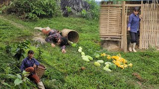The video has completed 110 days of wind and rain and now all the melon sellers are fertilized