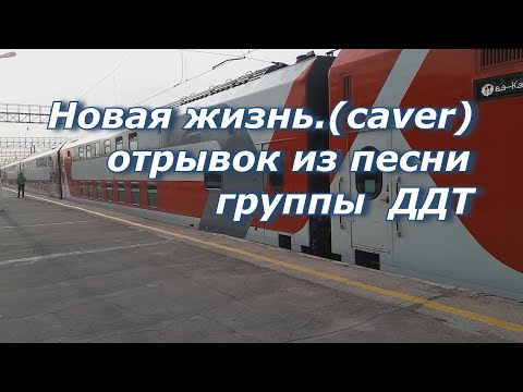 Новая жизнь (caver). Отрывок из песни группы ДДТ