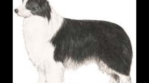 HTML CSS JavaScript: Fetching and parsing XML