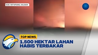 Kebakaran Hutan dan Lahan di Kalimantan Barat Kian Meluas