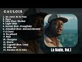 Gaulois playlist album la gaule vol1 2023