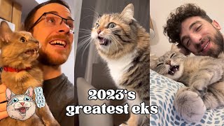 ekekekkekkek compilation - 2023's BEST Cat Chirping, Chattering, Clicking and Chittering