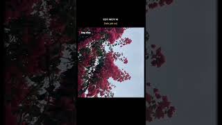 Few Second Of Hale Jale O Beautiful Song