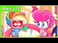 My Little Pony: Pony Life 💖 NEW 💖 Rainbow Dash Loyalty Moment - Kindness Day | MLP Pony Life