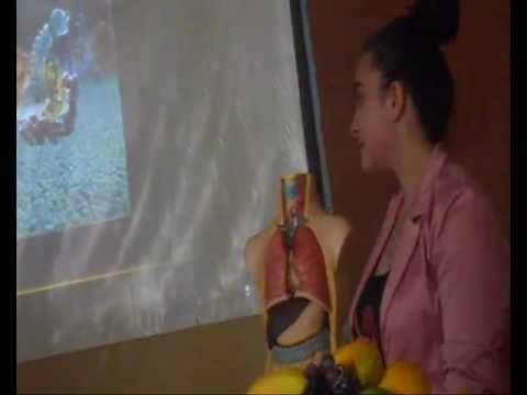 33-ე სკოლა, ქუთაისი, პროექტი \"საკვების მონელება\"