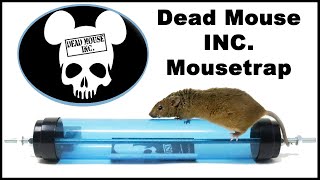 The DEAD MOUSE INC. Rolling Log Mouse Trap Vs. Mice In The Barn. Score 11 to 0. Mousetrap Monday