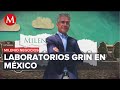 ¿Cuál es el impacto y crecimiento de Laboratorios Grin en México? | Milenio Negocios