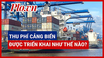 TP.HCM: Thu phí cảng biển được triển khai như thế nào? - PLO
