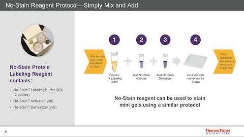 A Novel Method for Quantitative Western Blotting that Eliminates Errors from the Use of...