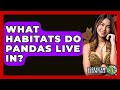 What Habitats Do Pandas Live In? - Ecosystem Essentials