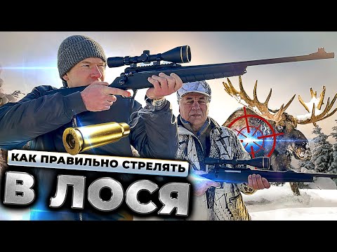 Видео: Каков верный порядок лося?