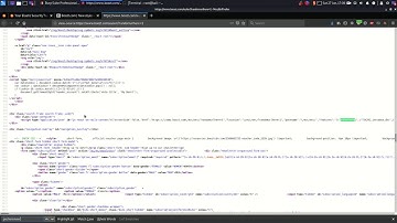 Web Cache Poisoning PoC - Bug Bounty
