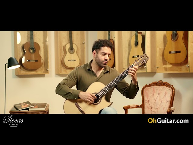 Martin Bretscher 2022 Flow cut Classical Guitar - review