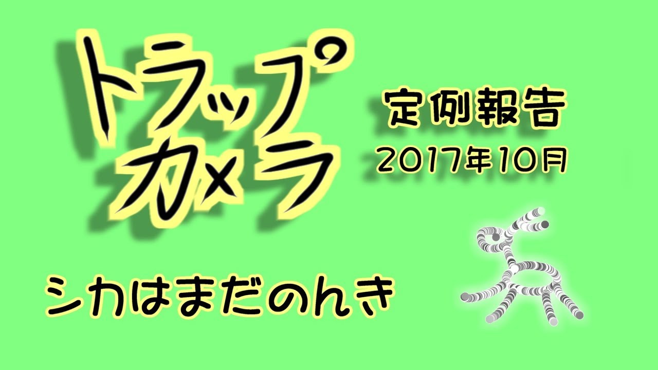 アライグマ 洗う 定例トラップカメラ報告 2017年10月 シカはまだのんき