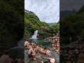 diving to explore beautiful waterfalls with Saga #travel #waterfall