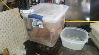 Sous vide $6 Sterilite container 7 tritips at one time Cisno review tips pointers