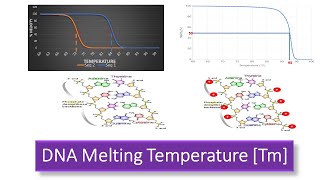 DNA Melting Temperature [Tm] - Factors affecting DNA melting Temperature