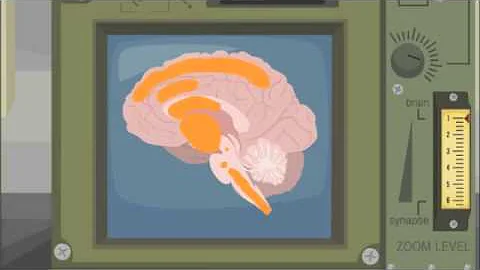 Brian Farr's Drug-Induced Synaptic Plasticity