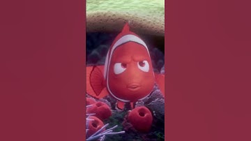 How Marine Biology Inspired Finding Nemo’s Ocean