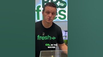 Thumbnail of Adding CO₂ to Water #aquascape #freshwateraquarium #aquarium #plantedtank #fishtank #fish