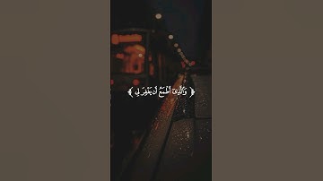 تـِلاوة مِـن سُـورة الشعراء || القارئ : وديع اليمني
