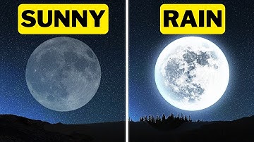 6 Old Fashioned Ways To Predict The Weather