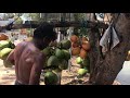 Шрі Ланка. Продавці кокосів