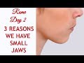 Three Reasons Why We Have Small Jaws