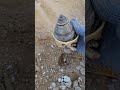 What We Discovered Gold and Black or Blue copper and Eagle king #metaldetecting #treasuresearch