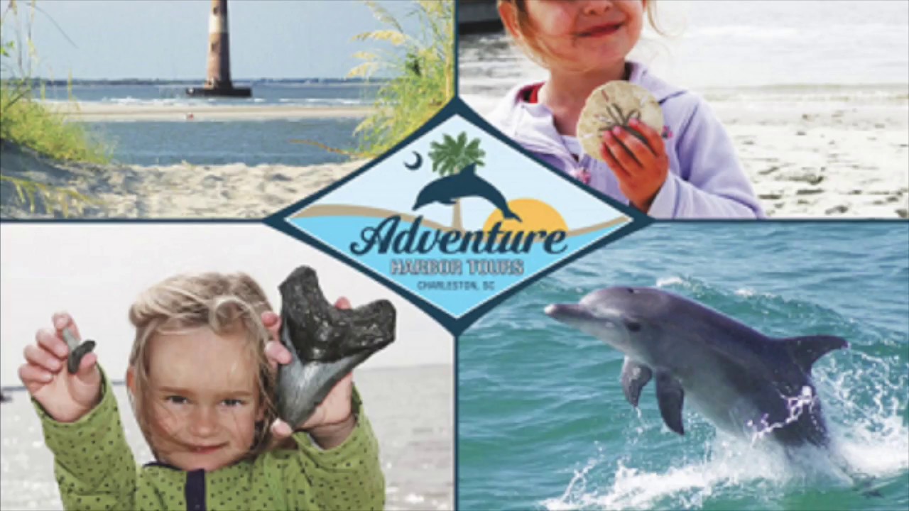 adventure harbor tours morris island