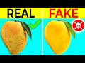 How to identify fake mangoes  fact minded