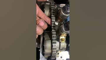 2014 Ford Focus 2.0L Timing Chain Inspection