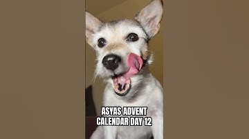 Asyas Advent Calendar Day 12