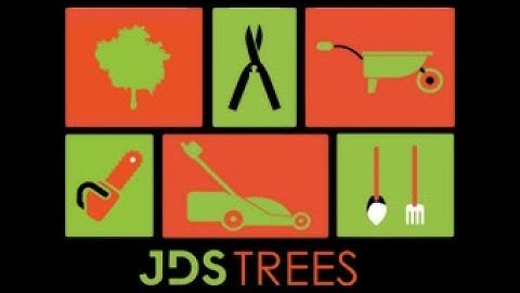 Edinburgh Tree Surgeon Services by JDS Trees Ltd