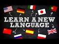 Top 5 Best FREE LANGUAGE LEARNING Apps & Websites